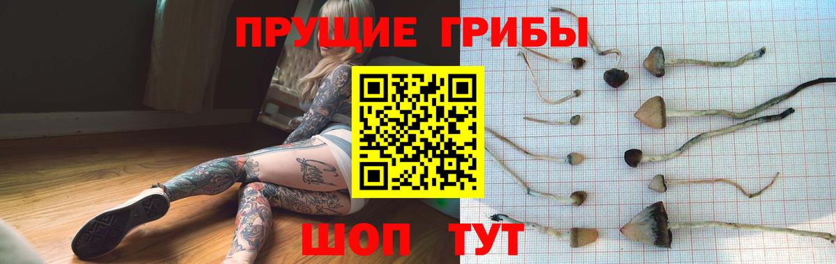 Галлюциногенные грибы мицелий  Вход с VPN  Сатка 